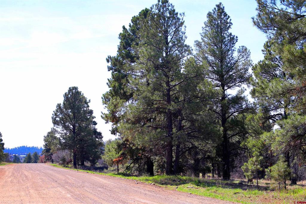 492 Prospect Boulevard Pagosa Springs CO 81147