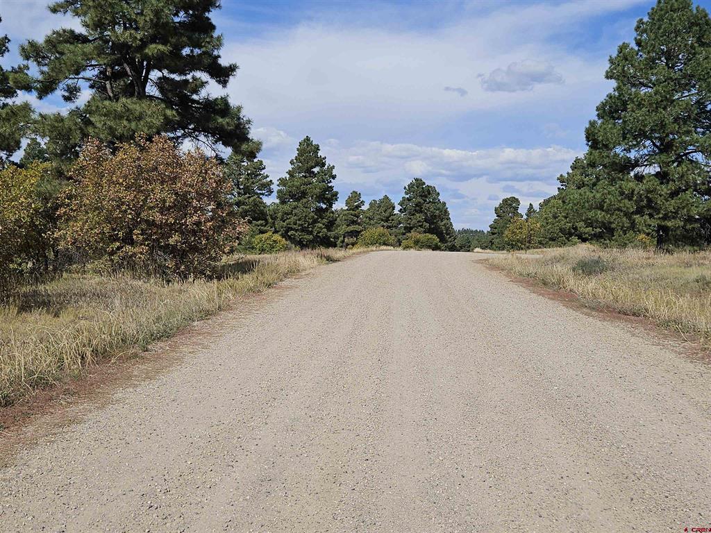492 Prospect Boulevard Pagosa Springs CO 81147
