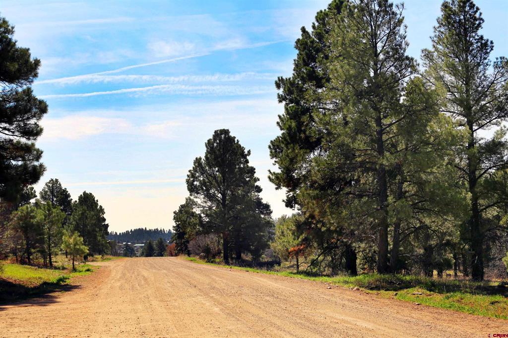 492 Prospect Boulevard Pagosa Springs CO 81147