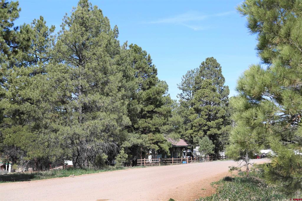 492 Prospect Boulevard Pagosa Springs CO 81147