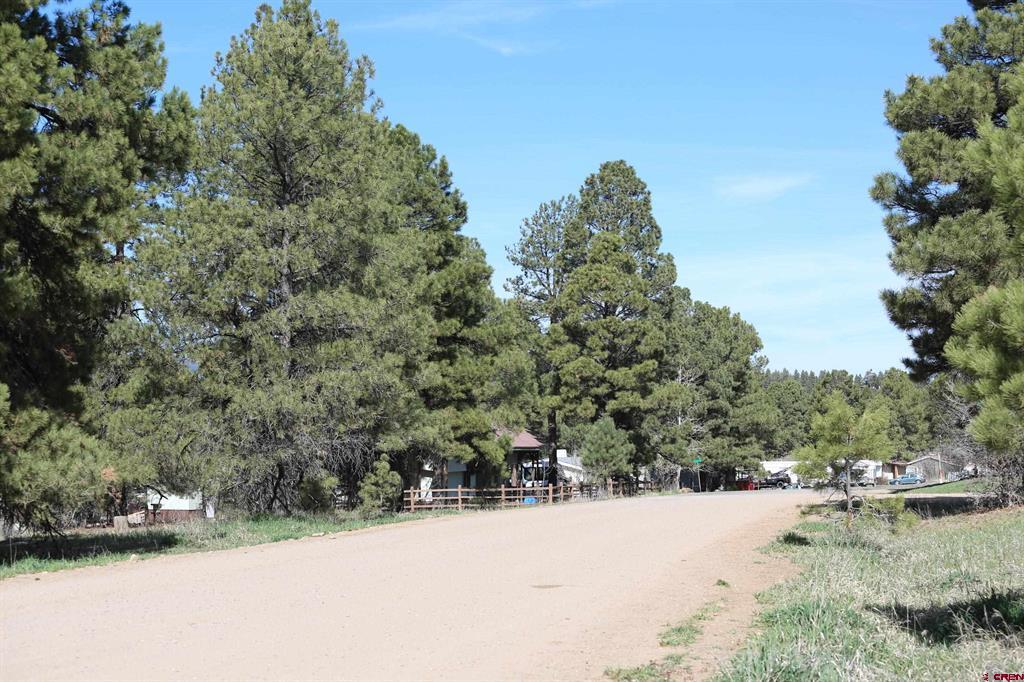 492 Prospect Boulevard Pagosa Springs CO 81147