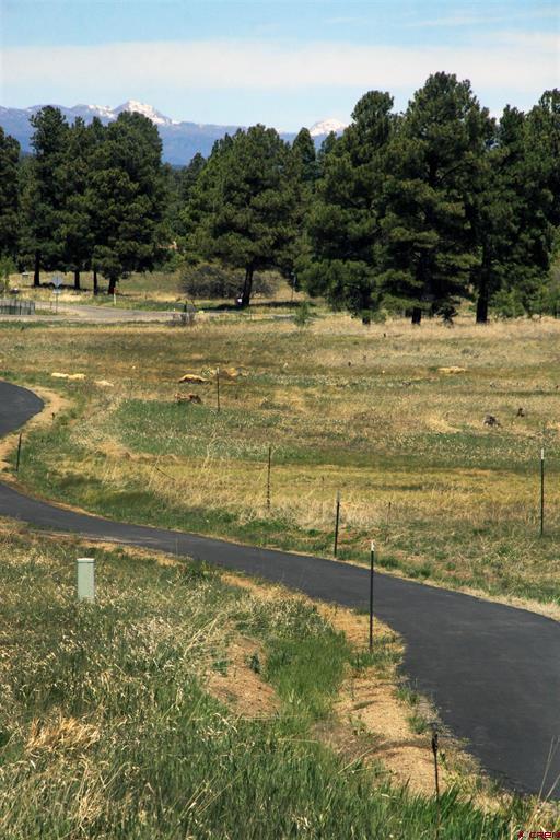 492 Prospect Boulevard Pagosa Springs CO 81147