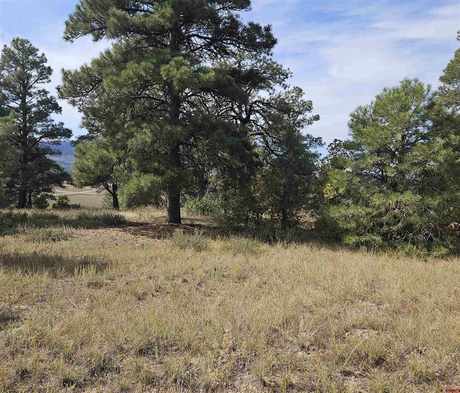 492 Prospect Boulevard Pagosa Springs CO 81147