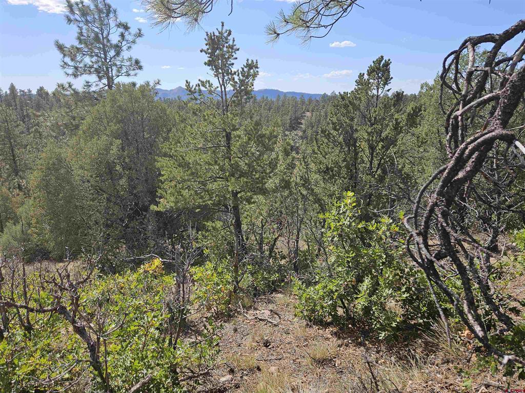 492 Prospect Boulevard Pagosa Springs CO 81147