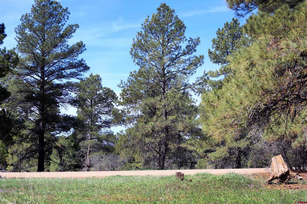 492 Prospect Boulevard Pagosa Springs CO 81147
