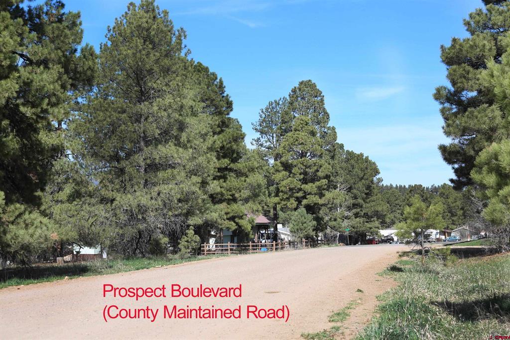 492 Prospect Boulevard Pagosa Springs CO 81147