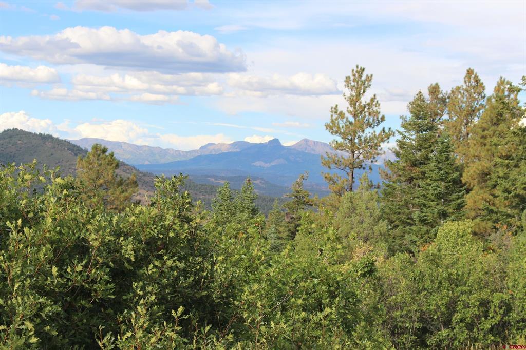 Tbd Archuleta Mesa Place Pagosa Springs CO 81147