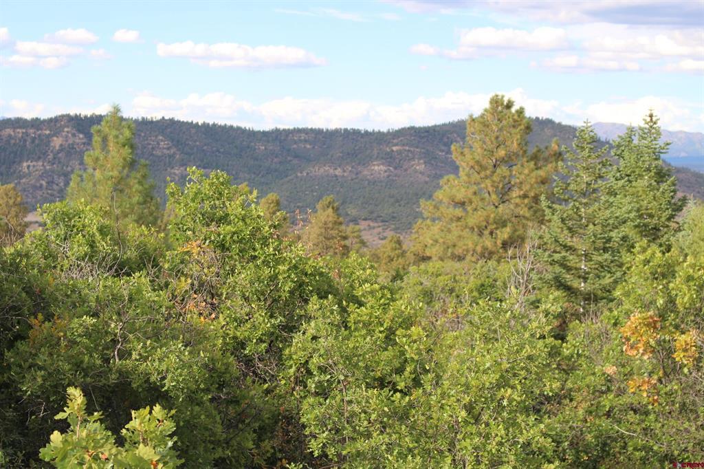 Tbd Archuleta Mesa Place Pagosa Springs CO 81147