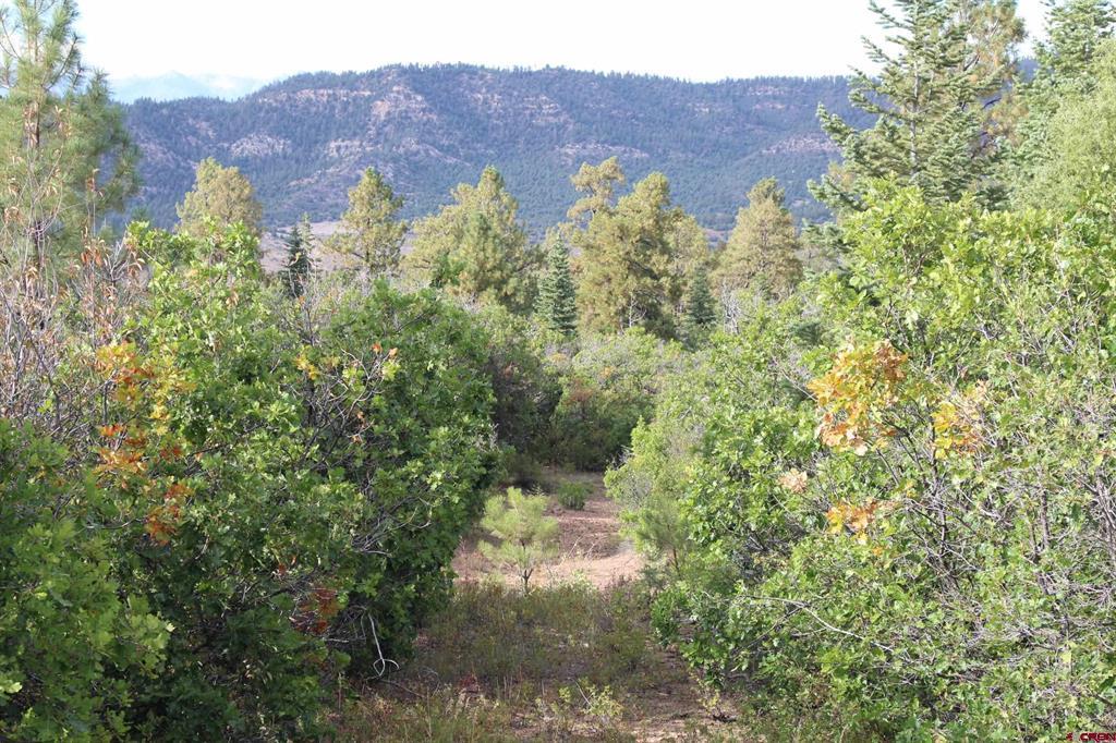 Tbd Archuleta Mesa Place Pagosa Springs CO 81147