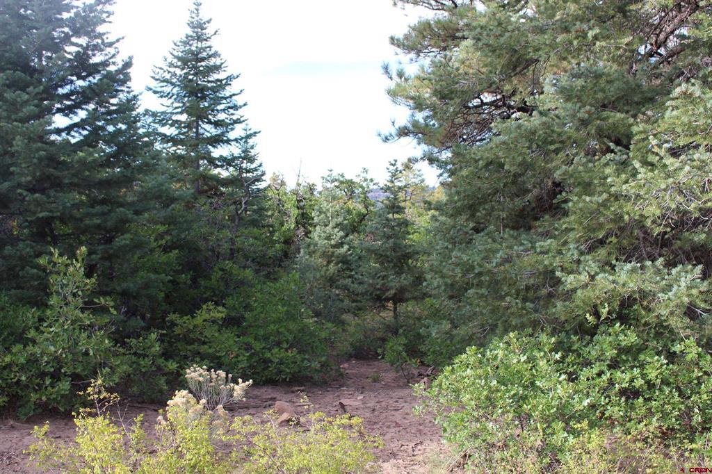 Tbd Archuleta Mesa Place Pagosa Springs CO 81147