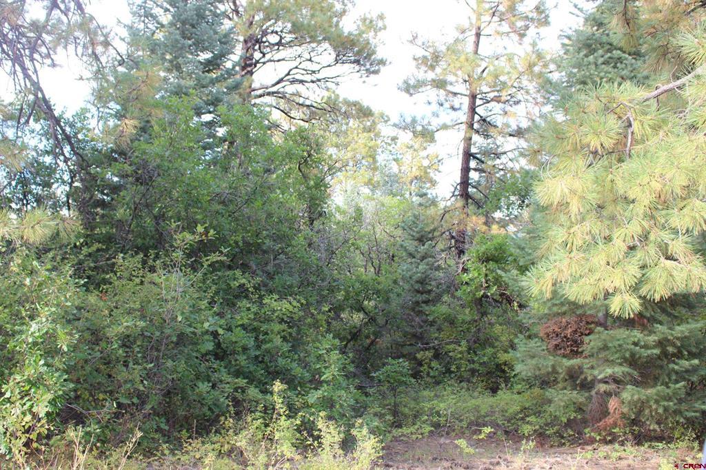 Tbd Archuleta Mesa Place Pagosa Springs CO 81147