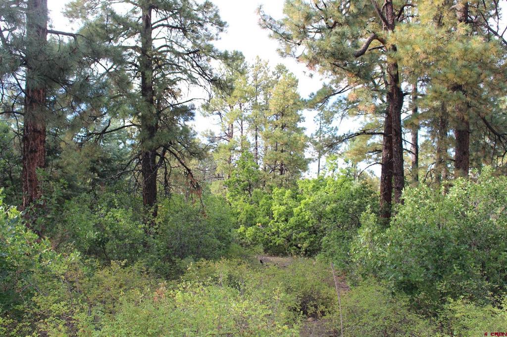 Tbd Archuleta Mesa Place Pagosa Springs CO 81147