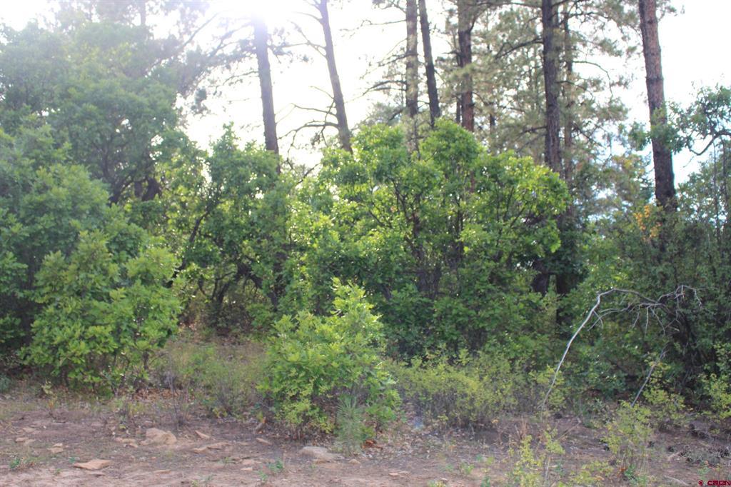 Tbd Archuleta Mesa Place Pagosa Springs CO 81147