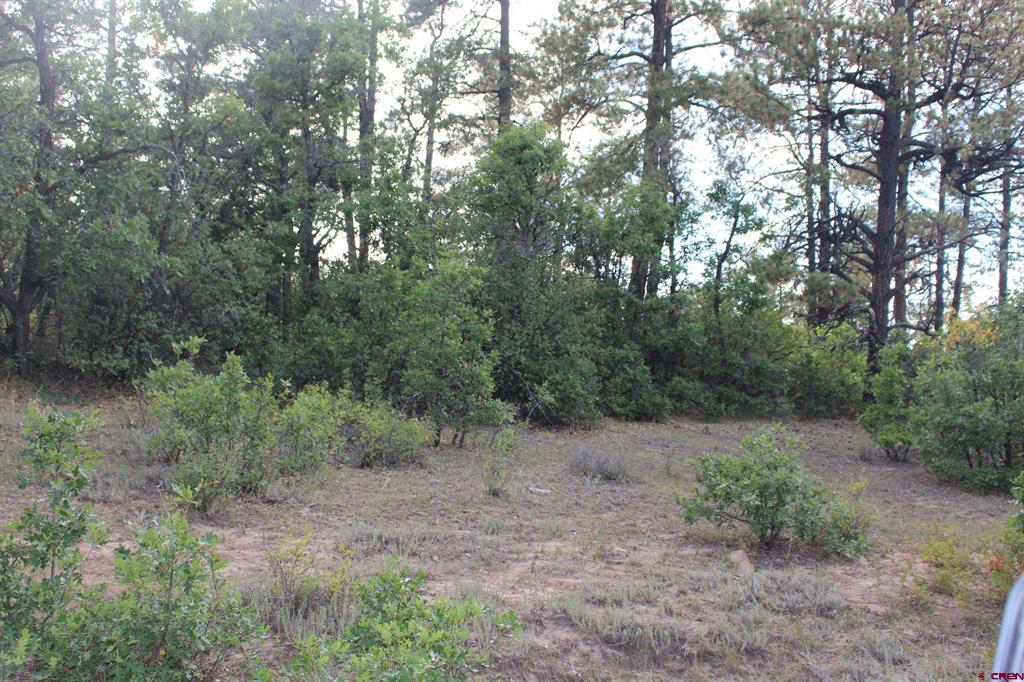 Tbd Archuleta Mesa Place Pagosa Springs CO 81147