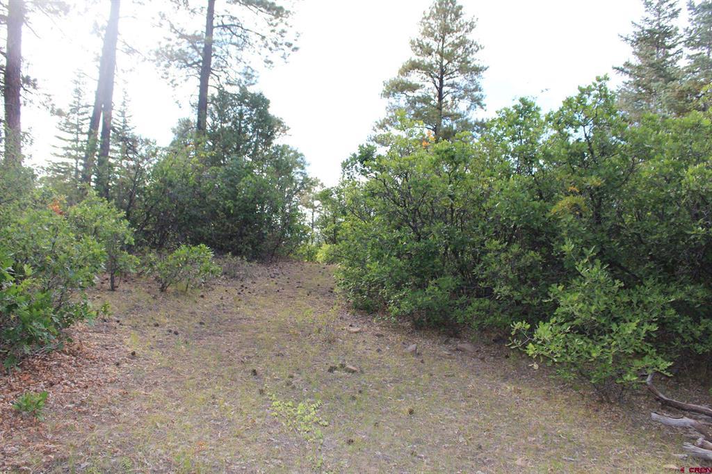 Tbd Archuleta Mesa Place Pagosa Springs CO 81147