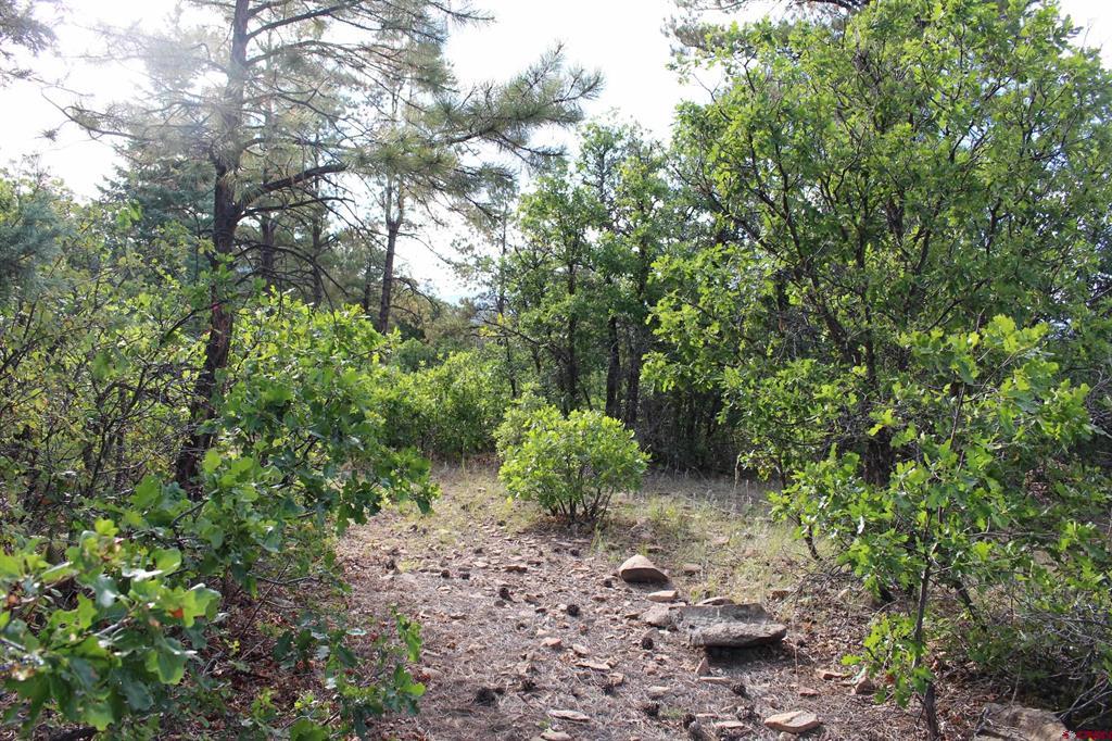 Tbd Archuleta Mesa Place Pagosa Springs CO 81147