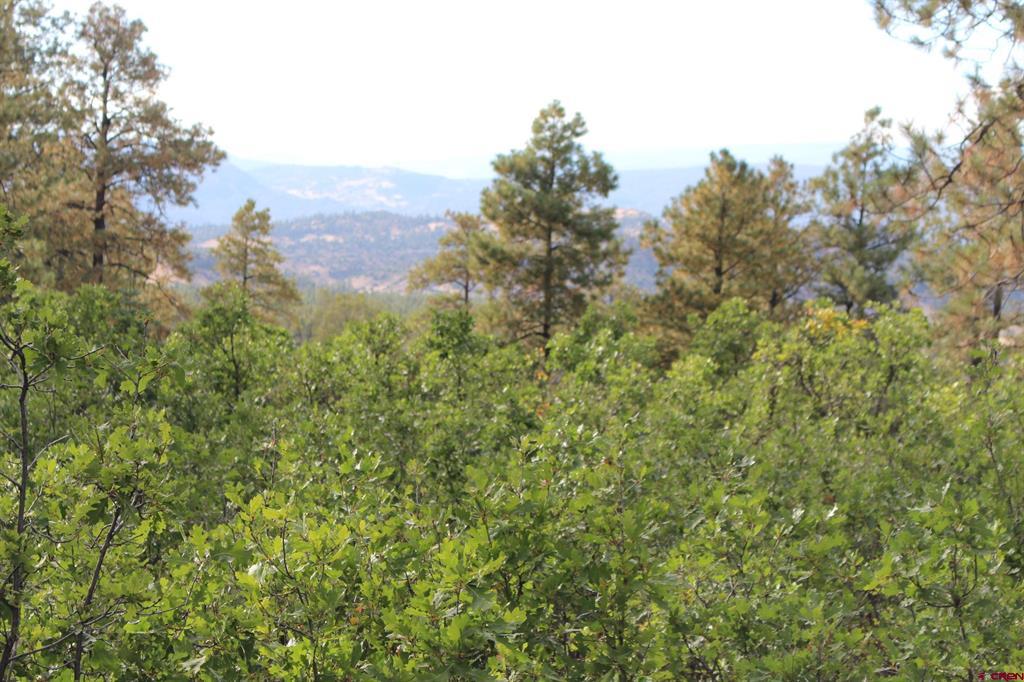 Tbd Archuleta Mesa Place Pagosa Springs CO 81147