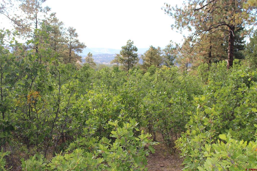 Tbd Archuleta Mesa Place Pagosa Springs CO 81147