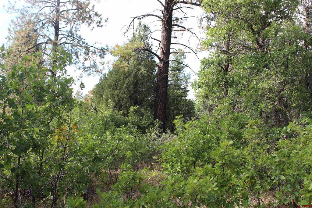 Tbd Archuleta Mesa Place Pagosa Springs CO 81147
