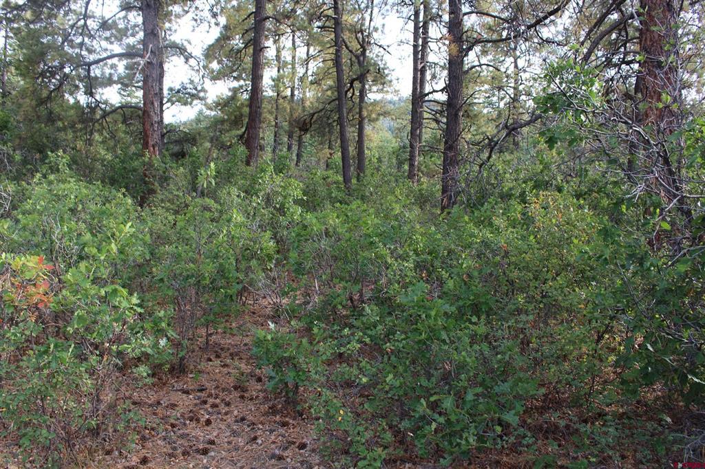 Tbd Archuleta Mesa Place Pagosa Springs CO 81147
