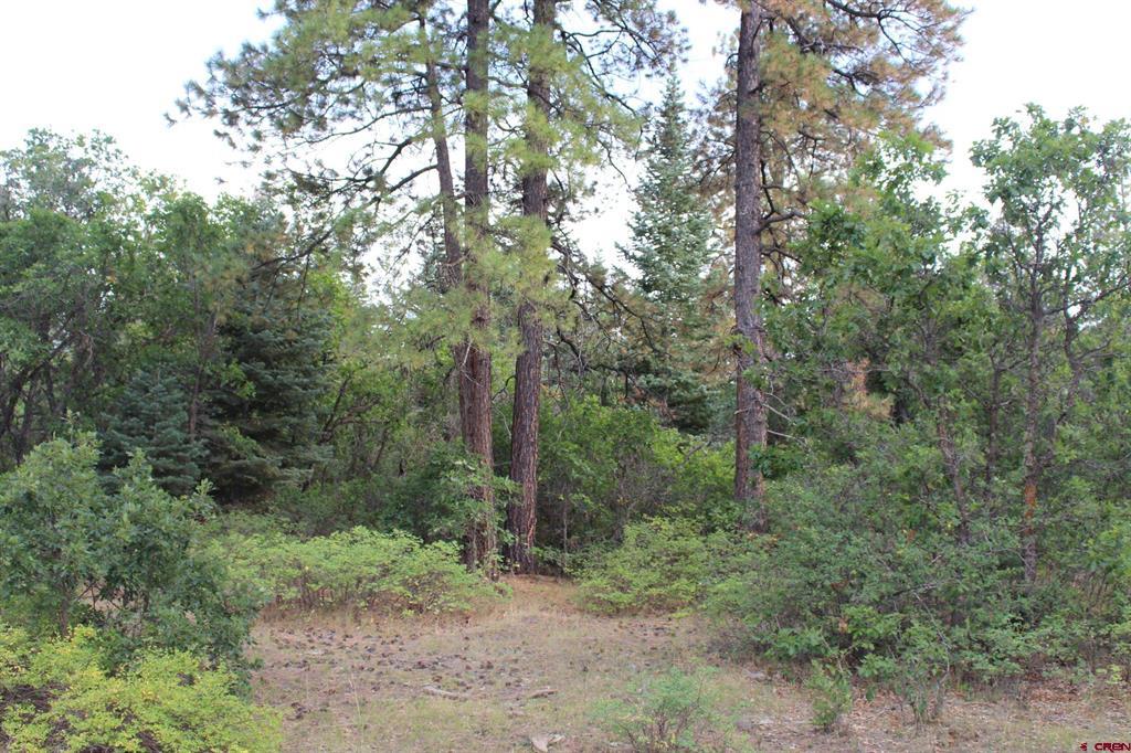 Tbd Archuleta Mesa Place Pagosa Springs CO 81147