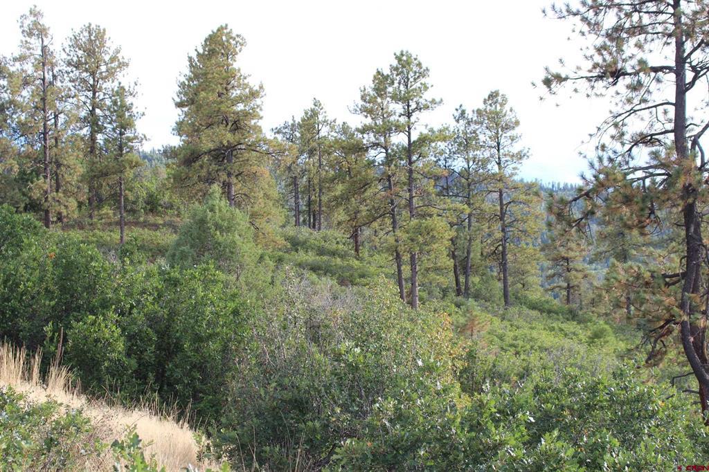 Tbd Archuleta Mesa Place Pagosa Springs CO 81147
