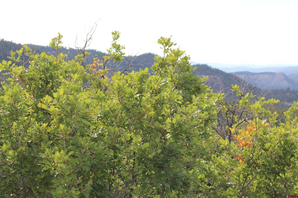 Tbd Archuleta Mesa Place Pagosa Springs CO 81147