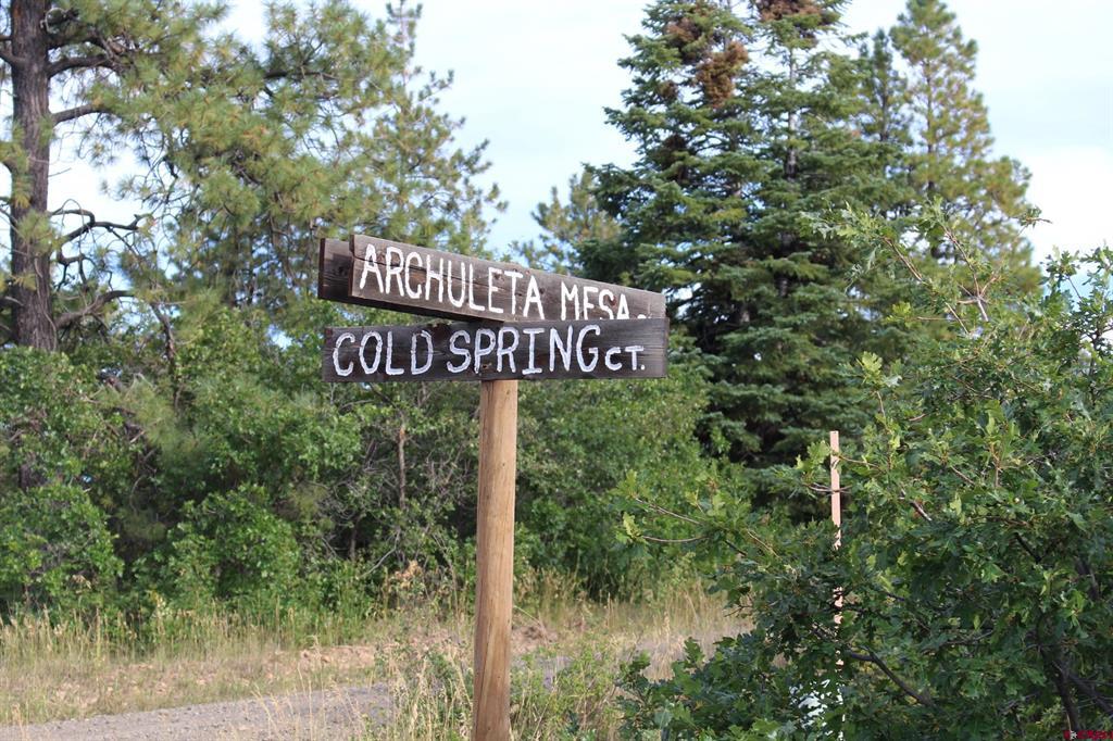 Tbd Archuleta Mesa Place Pagosa Springs CO 81147