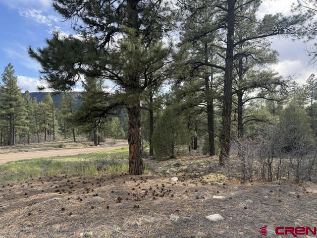 Pagosa Springs CO, 596 Ginger