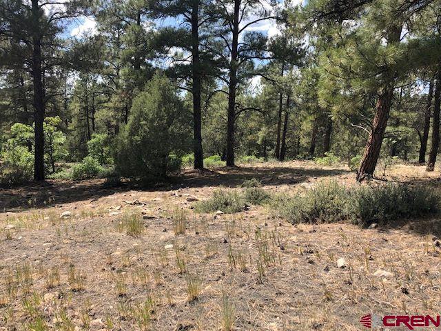 596 Ginger Circle Pagosa Springs CO 81147