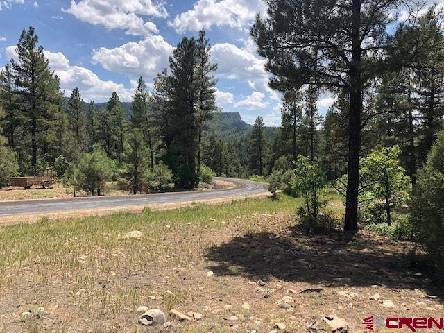 596 Ginger Circle Pagosa Springs CO 81147