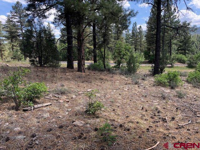 596 Ginger Circle Pagosa Springs CO 81147