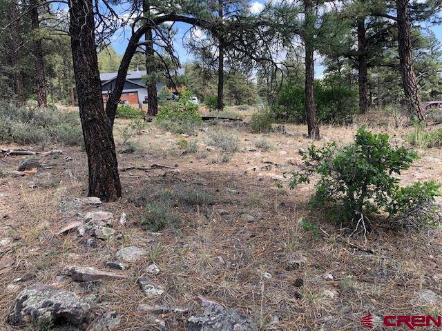 596 Ginger Circle Pagosa Springs CO 81147