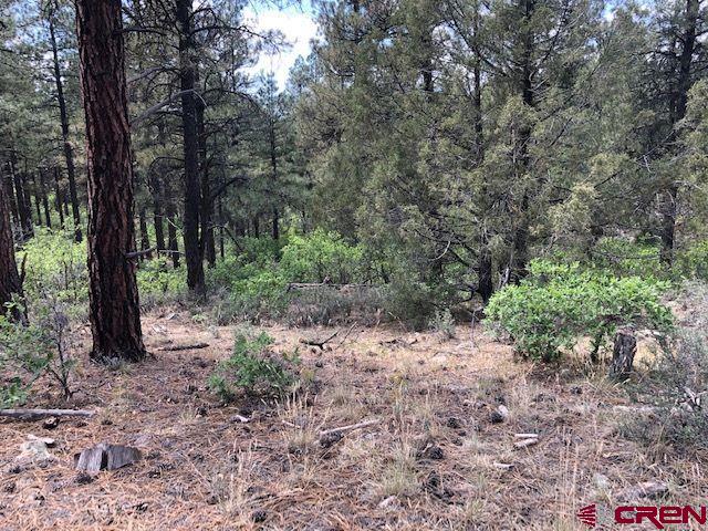 596 Ginger Circle Pagosa Springs CO 81147