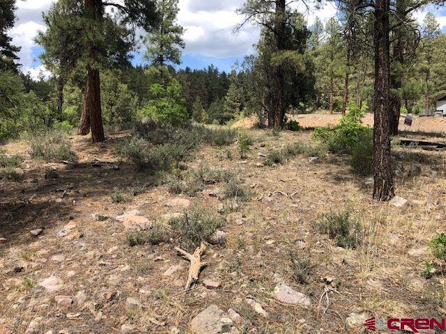 596 Ginger Circle Pagosa Springs CO 81147