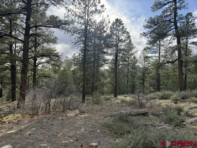 596 Ginger Circle Pagosa Springs CO 81147