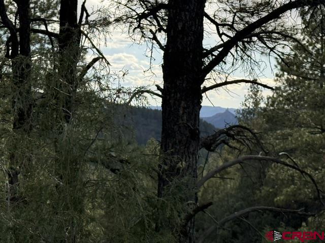 596 Ginger Circle Pagosa Springs CO 81147