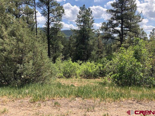 596 Ginger Circle Pagosa Springs CO 81147