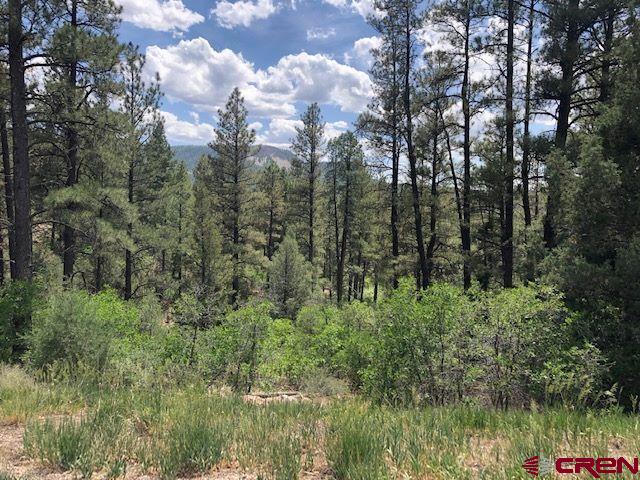 596 Ginger Circle Pagosa Springs CO 81147