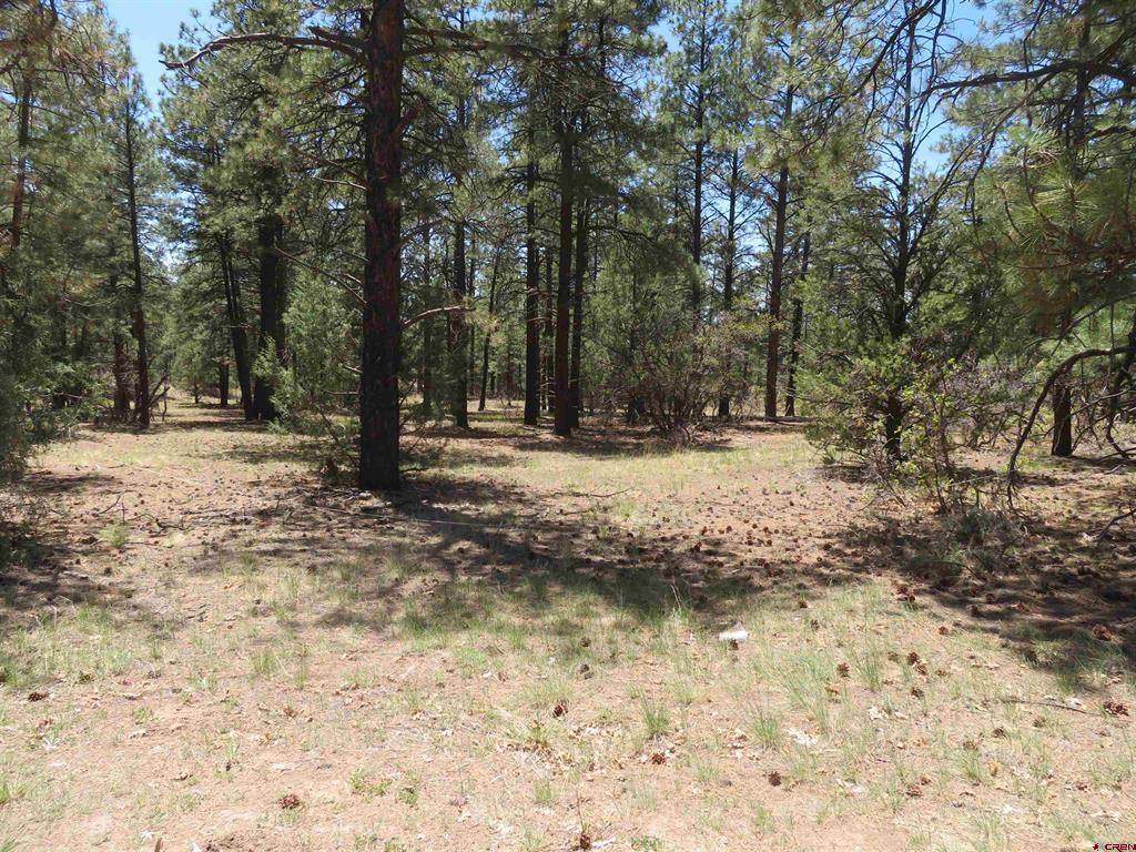 491 Crooked Road Pagosa Springs CO 81147