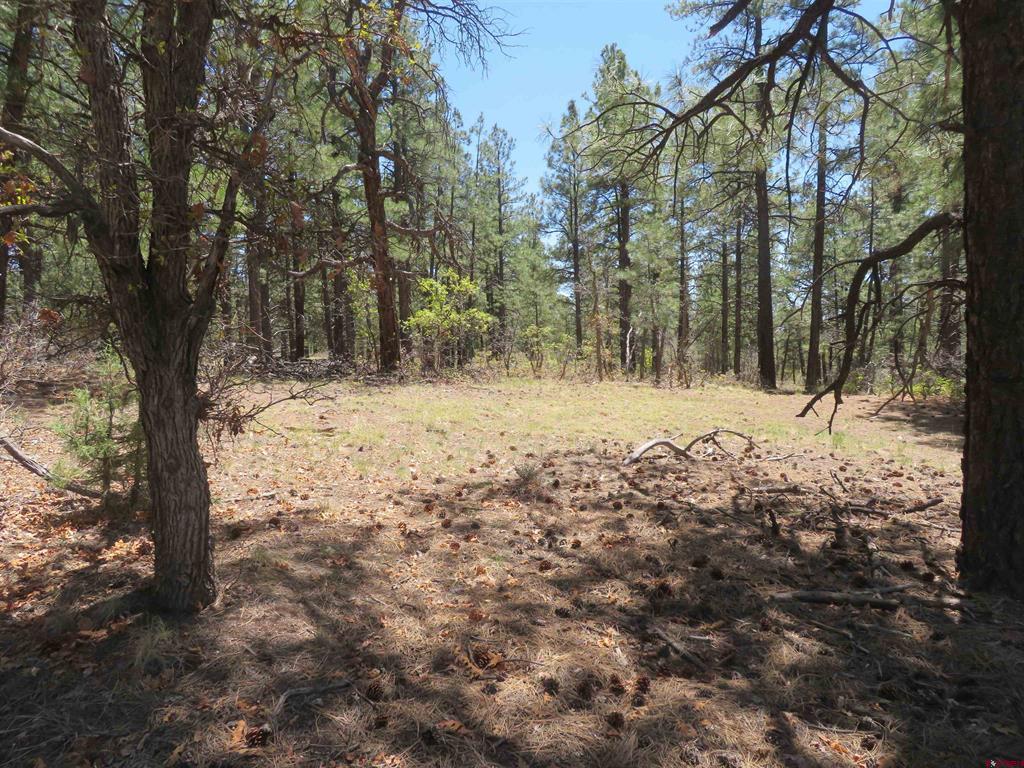 491 Crooked Road Pagosa Springs CO 81147