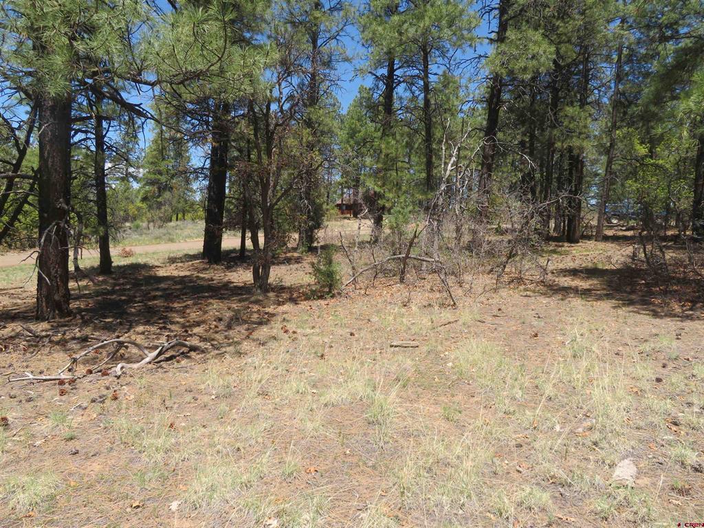 491 Crooked Road Pagosa Springs CO 81147