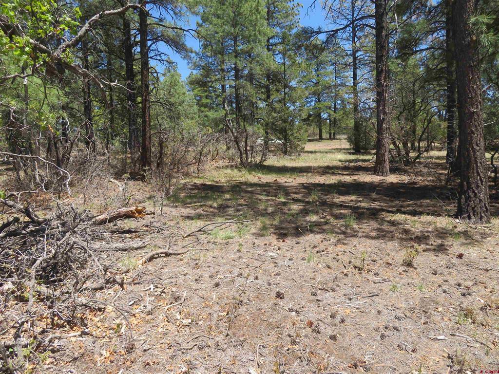 491 Crooked Road Pagosa Springs CO 81147