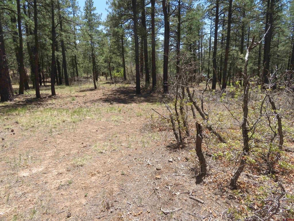 491 Crooked Road Pagosa Springs CO 81147