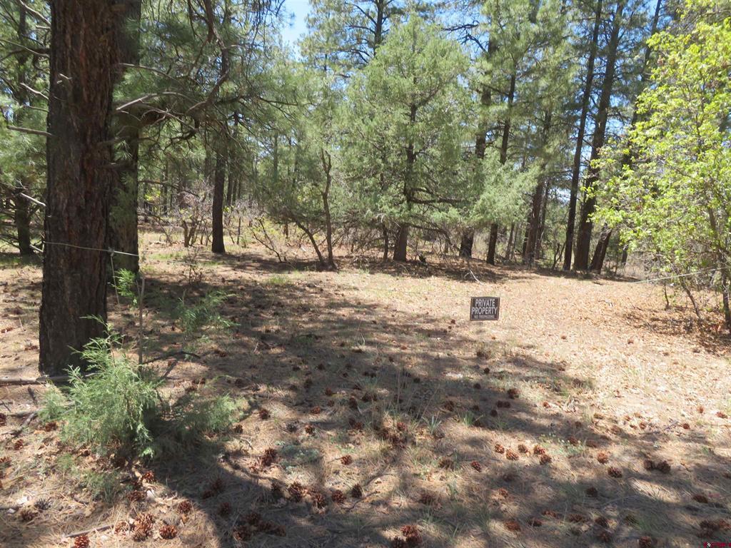 491 Crooked Road Pagosa Springs CO 81147