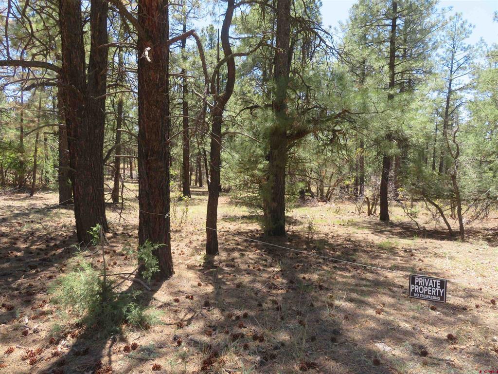 491 Crooked Road Pagosa Springs CO 81147