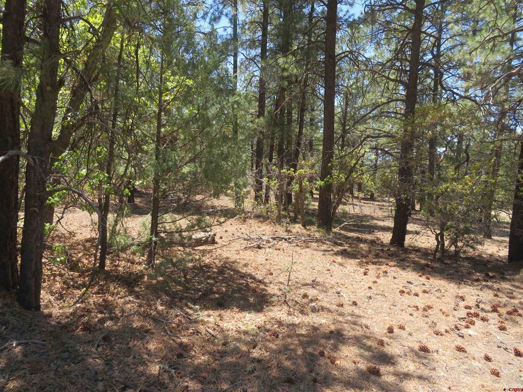 491 Crooked Road Pagosa Springs CO 81147