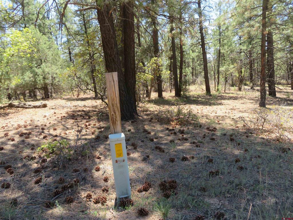 491 Crooked Road Pagosa Springs CO 81147