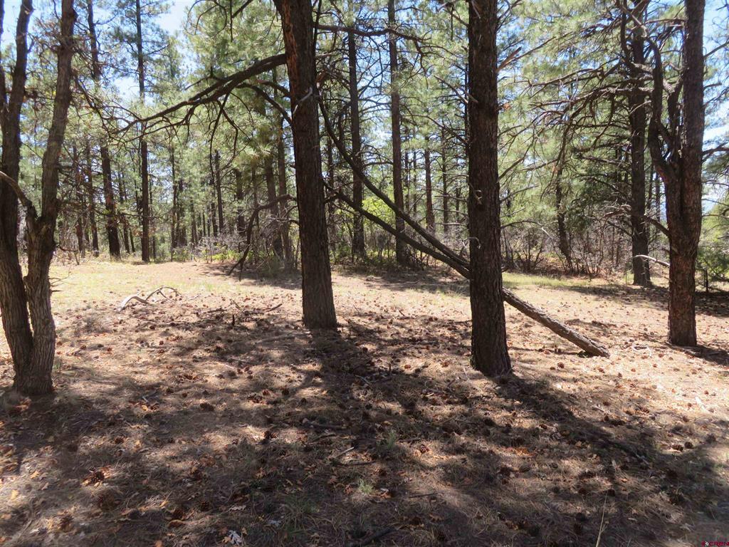 491 Crooked Road Pagosa Springs CO 81147