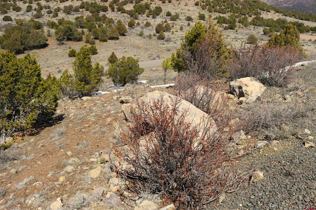 75 Vista De Verde Circle South Fork CO 81154